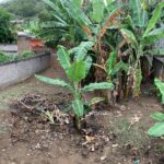 WhatsApp Image 2023-10-20 at 08.46.07 (10)