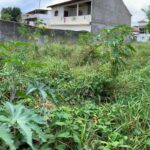 WhatsApp Image 2023-11-08 at 08.44.22