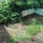 WhatsApp Image 2024-02-22 at 12.28.54