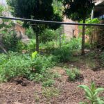 WhatsApp Image 2024-02-22 at 12.28.56 (3)