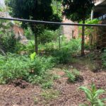 WhatsApp Image 2024-02-22 at 12.28.57