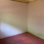 WhatsApp Image 2024-02-01 at 10.37.26