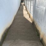 WhatsApp Image 2024-02-01 at 10.37.27 (3)