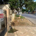 WhatsApp Image 2024-03-12 at 08.39.01 (2)