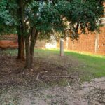 WhatsApp Image 2024-04-18 at 09.00.16 (1)