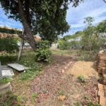 Imagem do WhatsApp de 2024-10-16 à(s) 11.32.09_11238e0e