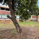 Imagem do WhatsApp de 2024-10-24 à(s) 13.10.13_c27899cb