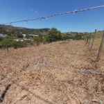 Imagem do WhatsApp de 2025-02-19 à(s) 12.00.18_842a18d2