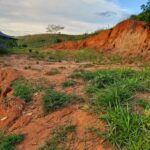 Imagem do WhatsApp de 2025-04-22 à(s) 15.01.53_7572e22e