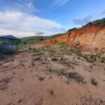 Imagem do WhatsApp de 2025-04-22 à(s) 15.01.53_a18d793c