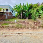 WhatsApp Image 2026-04-01 at 11.29.37 (1)