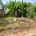 WhatsApp Image 2026-04-01 at 11.29.37