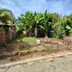 WhatsApp Image 2026-04-01 at 11.29.37 (2)