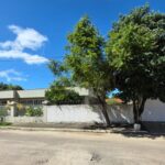 WhatsApp Image 2026-04-13 at 09.50.43 (1)